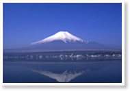 fuji