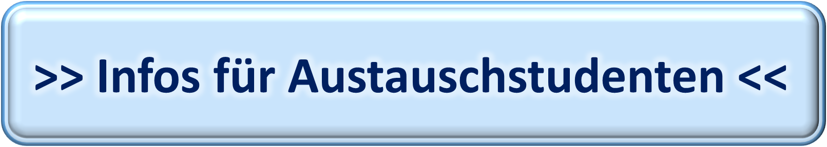 Infos für Austauschstudenten
