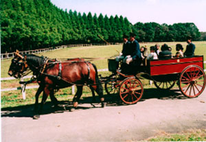 Kaiser8